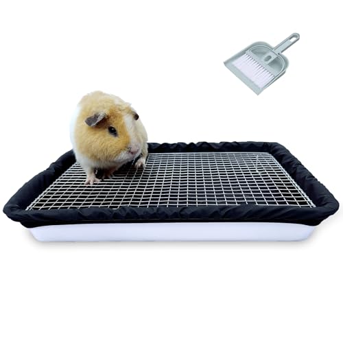 DOZZOPET Meerschweinchenklo mit Edelstahlgitter und 2 wiederverwendbaren, wasserdichten Einsätzen, Kleintier-Töpfchen für Zwergkaninchen, Frettchen, Chinchilla DOZZOPET Meerschweinchenklo mit Edelstahlgitter und 2 wiederverwendbaren, wasserdichten Einsätzen, Kleintier-Töpfchen für Zwergkaninchen, Frettchen, Chinchilla von DOZZOPET