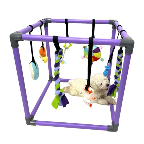 DOZZOPET Welpenspielstudio für kleine Hunde mit 8 hängenden Spielzeugen, Dschungel-Spielplatz mit interaktiven, lustigen Bereicherungsspielzeugen, um sie zu beschäftigen DOZZOPET Welpenspielstudio für kleine Hunde mit 8 hängenden Spielzeugen, Dschungel-Spielplatz mit interaktiven, lustigen Bereicherungsspielzeugen, um sie zu beschäftigen von DOZZOPET