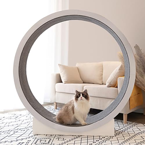 Cat Wheel, Laufband Für Indoor-Katzen, 47,2 Zoll Große Hölzerne Laufrad Katze, Holz Katze Exerciser, Einfache Montage Für Katzen Gewichtsverlust Und Gesundheit Cat Wheel, Laufband Für Indoor-Katzen, 47,2 Zoll Große Hölzerne Laufrad Katze, Holz Katze Exerciser, Einfache Montage Für Katzen Gewichtsverlust Und Gesundheit von DPDZSW