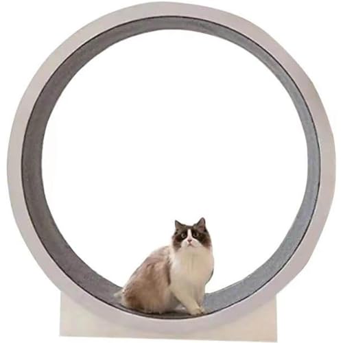 Laufrad Katze, Katzenspielzeug, Katzenlaufband, Klettergerüst Für Haustiere, Niedliches Katzenlaufrad, Geräuschloser Roller, Für Gewichtsverlust Und Tägliches Training Von Haustieren Laufrad Katze, Katzenspielzeug, Katzenlaufband, Klettergerüst Für Haustiere, Niedliches Katzenlaufrad, Geräuschloser Roller, Für Gewichtsverlust Und Tägliches Training Von Haustieren von DPDZSW