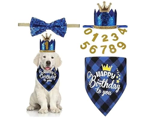 1 Set blaues Geburtstagsparty-Zubehör, Hunde-Halstuch-Set mit niedlicher Fliege, Kronenhut mit Zahlen für kleine, mittelgroße und große Hunde, kleine Geburtstagsparty-Zubehör 1 Set blaues Geburtstagsparty-Zubehör, Hunde-Halstuch-Set mit niedlicher Fliege, Kronenhut mit Zahlen für kleine, mittelgroße und große Hunde, kleine Geburtstagsparty-Zubehör von DPWOUM