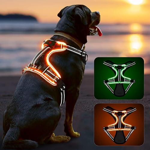 Hundegeschirr Leuchtend Verstellbar für Kleine Mittelgroße Grosse Hunde, Anti Zug Leuchtgeschirr für Hunde, Reflektierend LED Leucht Brustgeschirr Gepolstert, No-Pull Hund Geschirr mit Licht, Orange-S von DQGHQME