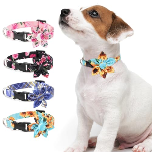 Hundehalsband DQGHQME Halsband Hund Verstellbare und Personalisiert mit Abnehmbarer Fliege, Weich & Komfort Hunde Halsband für Jungen, Katzen, Kleine, Mittelgroße und Große Hunde, Geschenk (L, Cyan) von DQGHQME