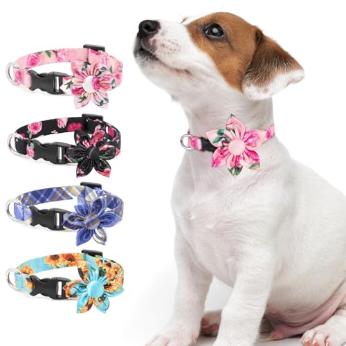 Hundehalsband DQGHQME Halsband Hund Verstellbare und Personalisiert mit Abnehmbarer Fliege, Weich & Komfort Hunde Halsband für Jungen, Katzen, Kleine, Mittelgroße und Große Hunde, Geschenk (L, Rosa) von DQGHQME