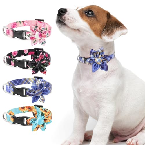 Hundehalsband DQGHQME Halsband Hund Verstellbare und Personalisiert mit Abnehmbarer Fliege, Weich & Komfort Hunde Halsband für Jungen, Katzen, Kleine, Mittelgroße und Große Hunde, Geschenk (XL, Blau) von DQGHQME