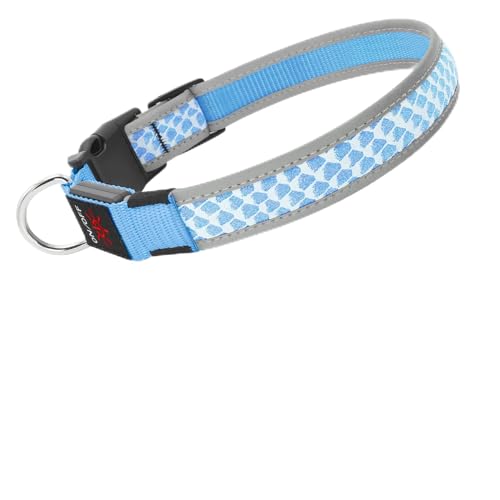 Hundehalsband Leuchtend DQGHQME Leuchthalsband Hund USB Aufladbar Anione LED Halsband für Hunde Verstellbares Reflektierendes Bezaubernd Leuchtendes Hundehalsband kleine, Mitte, Große Hunde (Blau) von DQGHQME