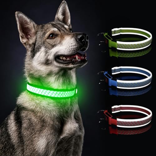 Hundehalsband Leuchtend für Mittelgroße Hund DQGHQME Leuchthalsband Hund USB Aufladbar LED Halsband für Hunde Robuste Einstellbare& Wasserdicht mit 3 Lichtmodi, die Nachts Sicher Spazieren Gehen, Grün von DQGHQME