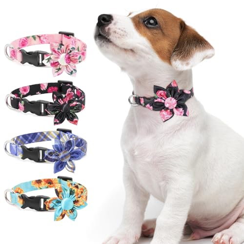 Hundehalsband Schwarz DQGHQME Halsband Hund mit Blume und Fliege, Junge Verstellbare, Langlebiges, Weich & Komfort Hundehalsbänder Haustier Geschenk für kleine mittelgroße Hunde - L von DQGHQME