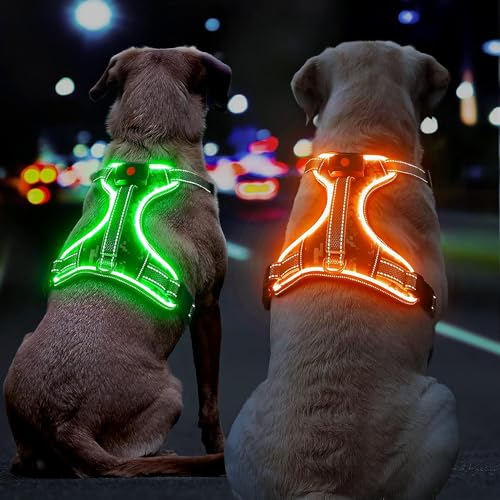 LED Hundegeschirr Leuchtend, Leuchtgeschirr für Hunde Aufladbar, No Pull Reflektierend Brustgeschirr Gepolstert, Anti Zug Hund Leucht Geschirr mit Griff Verstellbar für Kleine Mittelgroße Grosse Hunde von DQGHQME