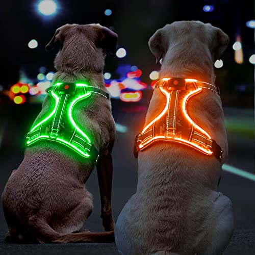Leuchtendes Hundegeschirr Aufladbar, Reflektierendes Leuchtgeschirr LED Leucht Brustgeschirr Gepolstert, Anti Zieh Hunde Geschirr Leuchtend Verstellbar für Kleine, Mittelgroße, Grosse Hunde (Grün, M) von DQGHQME