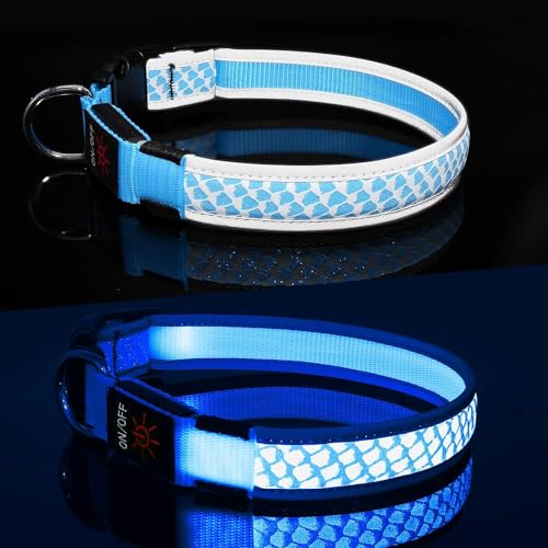 Leuchthalsband Hund Aufladbar DQGHQME Hundehalsband Leuchtend Reflektierendes LED Leucht Halsband für Hunde Wasserdicht Einstellbare Halsband für Klein Mittlere Große Hund für Sicherheit Nachts (Blau) Leuchthalsband Hund Aufladbar DQGHQME Hundehalsband Leuchtend Reflektierendes LED Leucht Halsband für Hunde Wasserdicht Einstellbare Halsband für Klein Mittlere Große Hund für Sicherheit Nachts (Blau) von DQGHQME