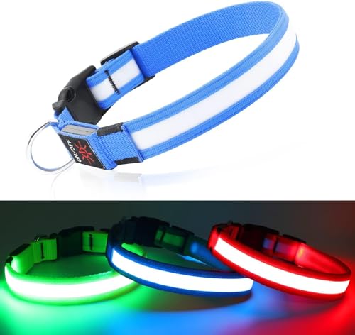 Leuchthalsband Hund DQGHQME Hundehalsband Leuchtend USB Aufladbar LED Leucht Halsband für Hunde Verstellbares Leuchtendes Hundehalsband kleine, Mitte, Große Hunde Super Helle Sicher für Die Nacht von DQGHQME