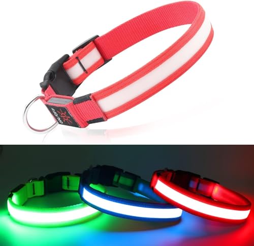 Leuchthalsband Hund DQGHQME Hundehalsband Leuchtend USB Aufladbar LED Leucht Halsband für Hunde Verstellbares Leuchtendes Hundehalsband kleine, Mitte, Große Hunde Super Helle Sicher für Die Nacht von DQGHQME