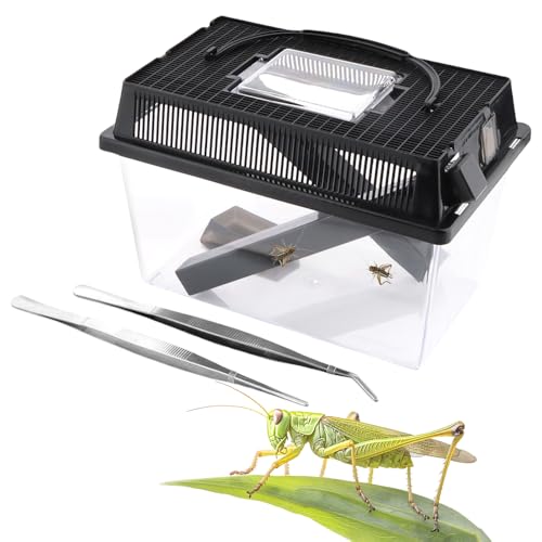 1 Packung Cricket-Keeper, Insektenhalter mit 2 Spenderröhren und 2 Insektenpinzetten aus Edelstahl für Reptilien, Bartdrachen, Leopard, Gecko, Eidechse, Frosch, groß von DQITJ