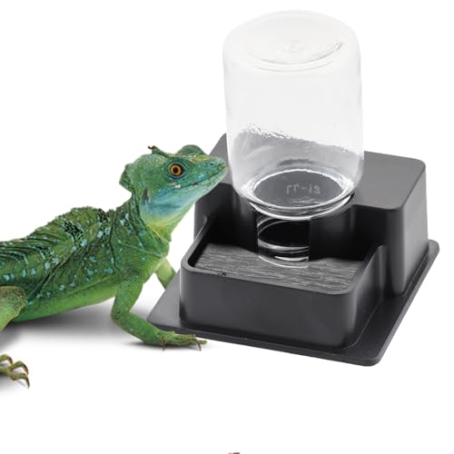 1 Packung Kleiner Reptilien-Wassernapf Automatischer Wasserspender für Reptilien Gecko Eidechse Terrarium Schüssel Feeder (Schwarz) von DQITJ