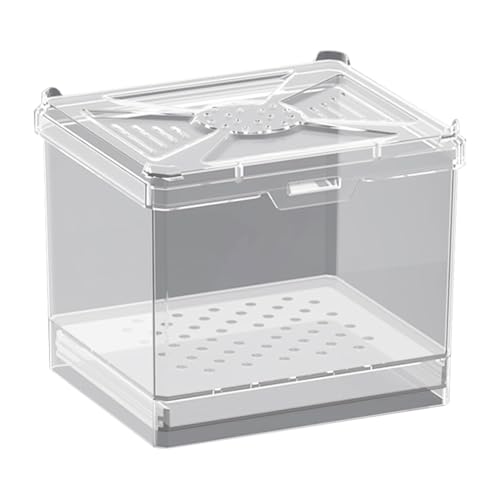 1 Packung Spinnenkäfig Manti Futterbox zur Zucht lebender Würmer für kleine Reptilien, Spinnen, Manti Insekten (weiß) von DQITJ