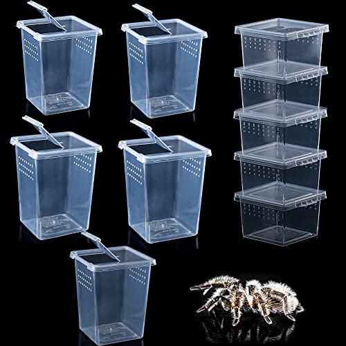 10 Stück Spinnen-Terrarien, kleine Reptilien-Brutbehälter, Acryl-Futterbox für Arboreal Spinne Tarantel Mantis Skorpion Tausendfüßler Insekten (5 hoch + 5 klein) von DQITJ