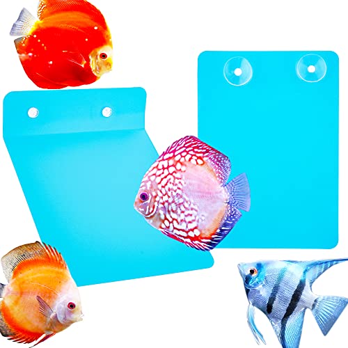 2 Stück Engelfisch-Diskus-Zuchtschiefer, Fischzucht, Laichfläche, für Aquarium, Fische, Eierverlegen von DQITJ