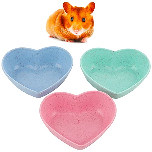 3 Stück Hamster-Futterschalen in niedlicher Form für Hamster, Igel, kleine Tiere (grün, blau und rosa) von DQITJ