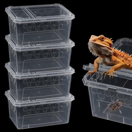 4 Stück Reptilien-Futterbox Zuchtbox transparenter Käfig Lebensraum Schlüpfbehälter für Reptilien, Spinnen, Skorpion, Gecko, Schildkröte, Baumfrosch 4 Stück Reptilien-Futterbox Zuchtbox transparenter Käfig Lebensraum Schlüpfbehälter für Reptilien, Spinnen, Skorpion, Gecko, Schildkröte, Baumfrosch von DQITJ
