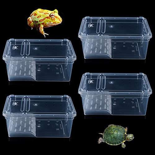 4 Stück Schildkröten-Aquarium-Aufzuchtbox, gehörnter Frosch, Kunststoff, tragbarer Futterbehälter für Hörner, Frosch, Schildkröte, kleine Reptilien (kleine Größe) von DQITJ