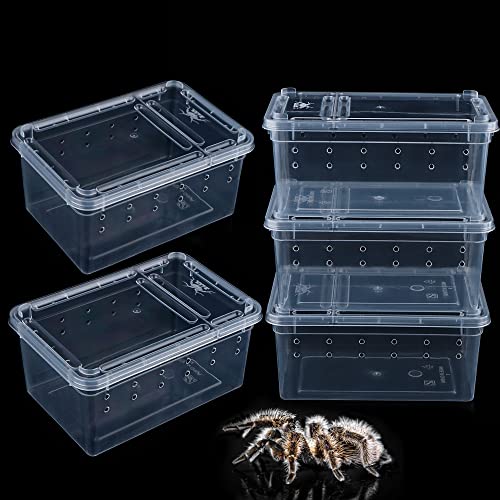 5 Stück Spinne kleine Terrarien Aufzuchtbox Transparent Brutbehälter Kunststoff Futterbox für kleine Reptilien Spinne Skorpion Tausendfüßler Insekten von DQITJ