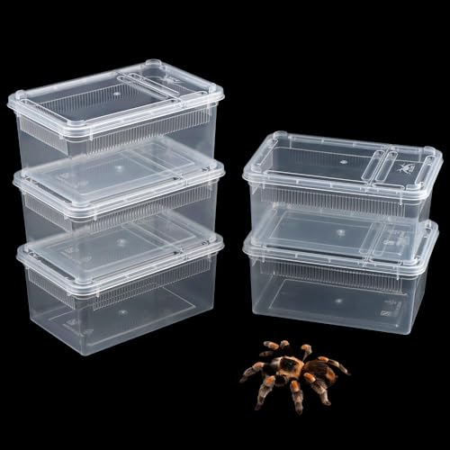 5 Stück kleine Reptilien-Terrarium-Zuchtbox, transparenter Schlüpfbehälter, Kunststoff-Futterbox für Gecko, Frosch, Spinne, Skorpion, Tausendfüßler, Insekten von DQITJ