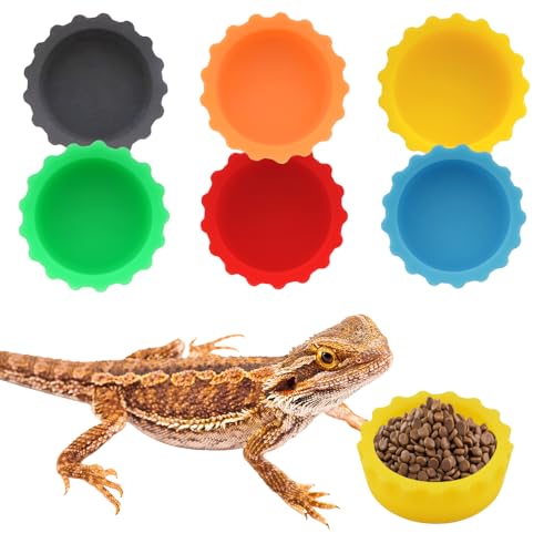 6 Pack Crested Gecko Small Food Dish Reptile Water Bowl Silicone Shallow Feeder for Small Reptile Eidechse Gecko Frog Snake Turtle Hermit Crab (Small:2.5cm D, 1.1cm H) von DQITJ