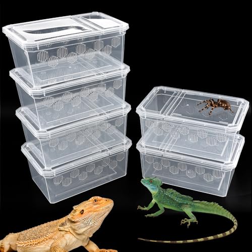 6 Stück Reptilien-Futterbox Zuchtbox transparenter Schlüpfbehälter Kunststoff Futterbox für kleine Reptilien Amphibien Spinnen Skorpione, Geckos, Schildkröten, Baumfrösche (kleine Größe) von DQITJ