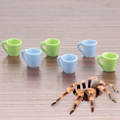 6 Stück Tarantel Mikro-Wassernapf Spinne Harz Futternapf für Spinne Tarantel Tausendfüßler Winzige Käfer Kleine Insekten (Blau und Grün) von DQITJ