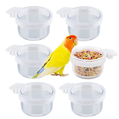 6 Stück abnehmbare transparente Schüssel aus Kunststoff zum Aufhängen von Samen, Wasserspender für Papageien, Kanarienvögel, Finken, kleine Größe von DQITJ