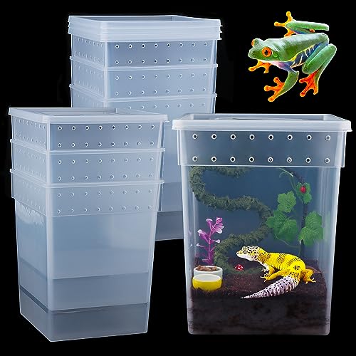 7 Stück große Reptilien-Futterbox Gecko Kunststoff transparent Zuchtbox für Schlangenbaum Frosch Bartagame Eidechse Spinne betende Gottesanbeterin (19,8 x 19,8 x 24,9 cm) von DQITJ