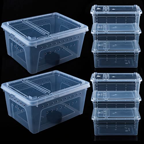 8 Stück Reptilien-Futterbox Schlange Kunststoff Transparent Zuchtbox für Bart-Gecko-Drachen-Eidechse, Spinne, Frosch, Skorpion (2 Stück große Größe, 6 Stück kleine Größe) von DQITJ
