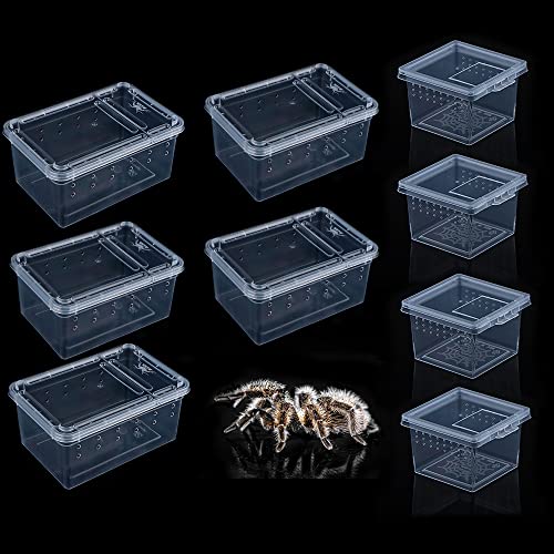 9 Stück Spinnenterrarien Zuchtbox Transparent Brutbehälter Kunststoff Futterbox für Spinne Skorpion Tausendfüßler Insekten Kleine Reptilien (Kleine Größe) von DQITJ