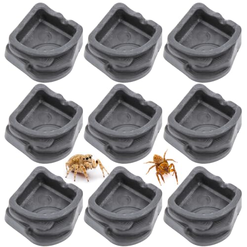 9 Stück Tarantel Mikro-Wasserschüssel, Mini-Harzschale für Spinne, Tarantel, Tausendfüßler, Insekt (klein: 2,5 cm D, 1 cm H) von DQITJ