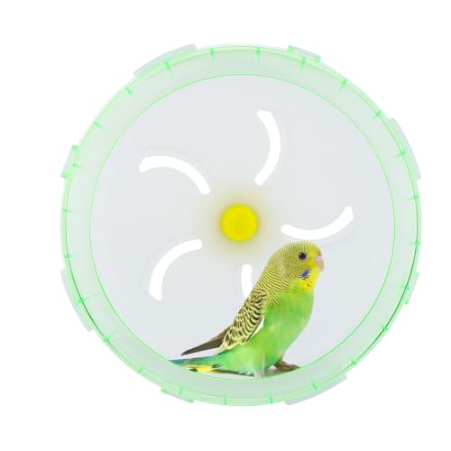 Bird Silent Wheel Toy Papagei Exercise Wheel Papagei Intelligence Toy Quiet Spinner Running Wheel for Bird Papagei Small Animal (Grün) von DQITJ