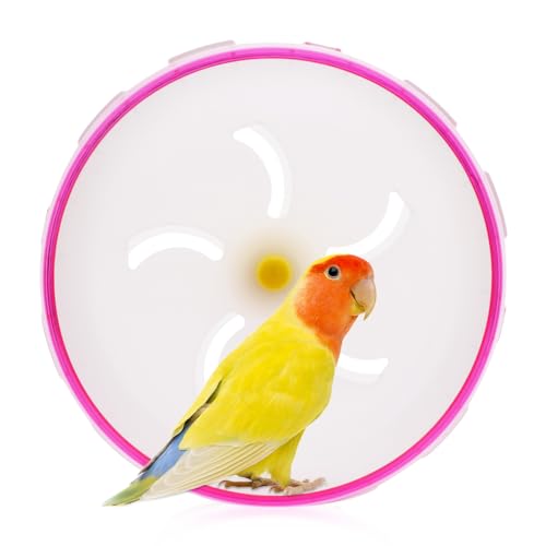 Bird Silent Wheel Toy Parrot Large Exercise Wheel Small Animal Intelligence Toy Creative Quiet Spinner Running Wheel (Red) von DQITJ