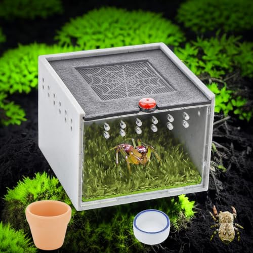 Clear Viewing Degree Jumping Spider Enclosure Tarantula Feeding Box with Acrylic Panel for Spider Tarantula Insect (8.5cm x 8.5cm x 6.5cm) von DQITJ