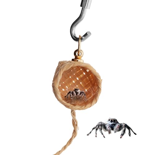 DQITJ 1 Packung Springspinne Versteck Springspinne Gehege Zubehör mit Magnet und Kletterseil Spinnenhaus von DQITJ