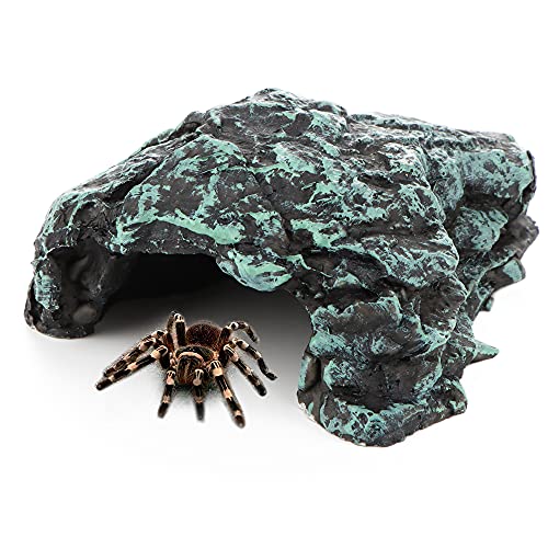 DQITJ Spinnen-Versteck, Skorpion-Terrarium-Landschaft, Tausendfüßer, Versteck Höhle, kleines Schildkrötenloch aus braunem, hochwertigem Kunstharz DQITJ Spinnen-Versteck, Skorpion-Terrarium-Landschaft, Tausendfüßer, Versteck Höhle, kleines Schildkrötenloch aus braunem, hochwertigem Kunstharz von DQITJ