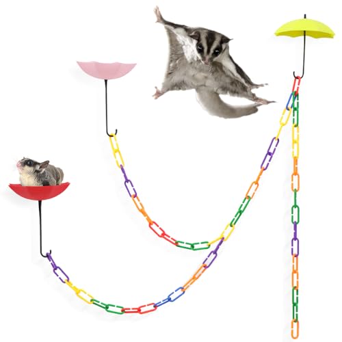 DQITJ Zuckergleiter-Plattform mit 150 cm langen C-Clips, Kletterkette für Haustiere, Vögel, Zuckergleiter, Eichhörnchen, Spielzeug, 3 Stück DQITJ Zuckergleiter-Plattform mit 150 cm langen C-Clips, Kletterkette für Haustiere, Vögel, Zuckergleiter, Eichhörnchen, Spielzeug, 3 Stück von DQITJ