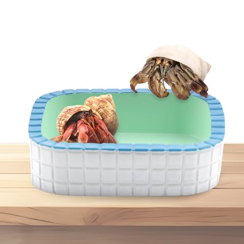 Einsiedlerkrebse, Kletterspielzeug, kleine Badewanne, Wasserbecken, Futternapf für Einsiedlerkrebse, kleine Reptilien, 1 Packung von DQITJ