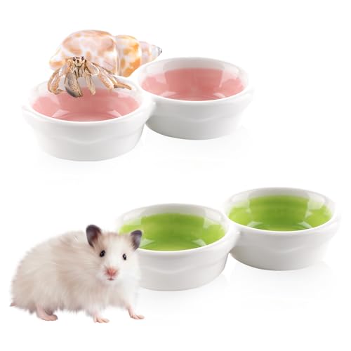 Futter- und Wassernapf für Einsiedlerkrebse, Hamster, Keramik, Anti-Dreh-Futterschale für Hamster, Zuckergleiter, Einsiedlerkrebse, zufällige Farbe, 2 Stück Futter- und Wassernapf für Einsiedlerkrebse, Hamster, Keramik, Anti-Dreh-Futterschale für Hamster, Zuckergleiter, Einsiedlerkrebse, zufällige Farbe, 2 Stück von DQITJ