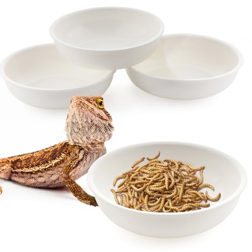 Futter- und Wassernapf für Reptilien, Wurmschale für Gecko, Eidechse, Hörner, Frosch, Schildkröte, kleine Reptilien, Weiß, 4 Stück Futter- und Wassernapf für Reptilien, Wurmschale für Gecko, Eidechse, Hörner, Frosch, Schildkröte, kleine Reptilien, Weiß, 4 Stück von DQITJ