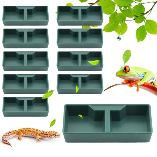 Futter- und Wassernapf für Reptilien, mit 2 Fächern, Futterschale für Eidechsen, Geckos, Frösche, Schildkröten und Einsiedlerkrebse, Grün, 10 Stück Futter- und Wassernapf für Reptilien, mit 2 Fächern, Futterschale für Eidechsen, Geckos, Frösche, Schildkröten und Einsiedlerkrebse, Grün, 10 Stück von DQITJ