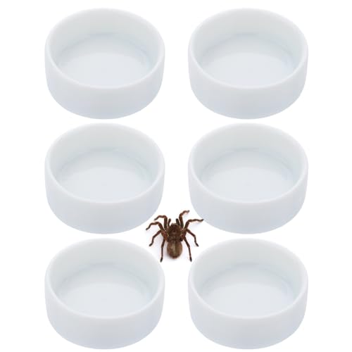 Futternapf aus Keramik mit Vogelspinne, Einsiedlerkrebs, Wassernapf, Spinnen, Schnecken, Insekten, Mikro-Futterschale (weiß, 3,2 cm D, 1,3 cm Höhe), 6 Stück von DQITJ