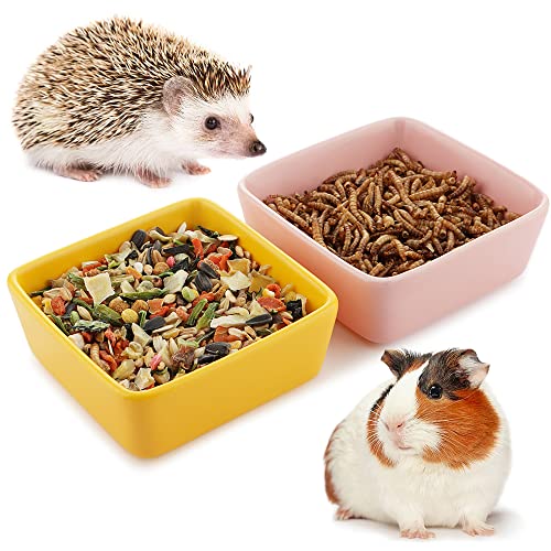 Futternapf für Meerschweinchen, Igel, Eichhörnchen, Kleintiere, Keramik, 2 Stück von DQITJ