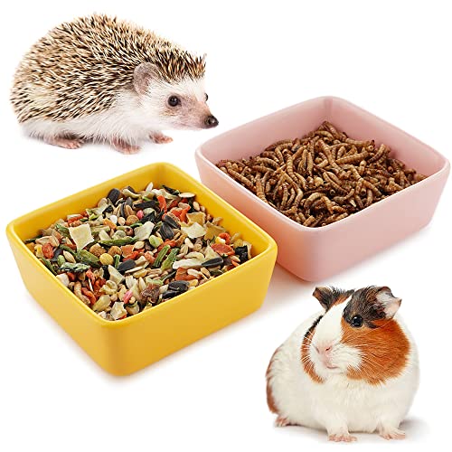Futternapf für Meerschweinchen, Igel, Eichhörnchen, Kleintiere, Keramik, 2 Stück Futternapf für Meerschweinchen, Igel, Eichhörnchen, Kleintiere, Keramik, 2 Stück von DQITJ