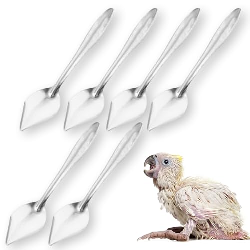 Futterschaufeln für Vögel, Papageien, Kunststoff, für kleine Vögel, 6 Stück von DQITJ