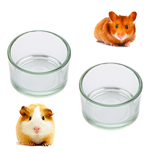 Hamster-Futter- und Wassernapf aus Glas, Anti-Drehen, transparent, für Hamster und andere kleine Haustiere, 2 Stück von DQITJ